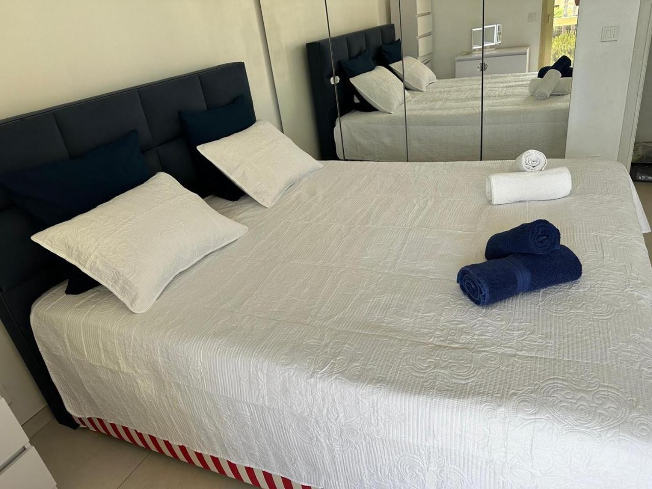 Super Apartment, Parking, Terrace, Lift, Palm Beach, Cannes